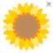 Creative Teaching Press® 6" Sunflower Designer Cut-Outs, 3 Packs of 36